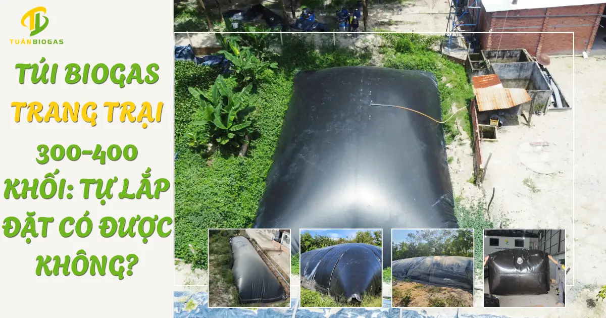 Túi Biogas Trang Trại 300-400 Khối: Tự Lắp Đặt Có Được Không?